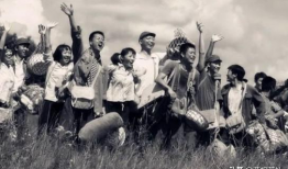 知青下乡的电视剧,知青岁月的青春之歌