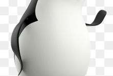 企鹅动漫,萌动青春，绘梦未来